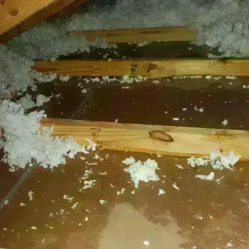 Attic Water Damage in Polk County, NE