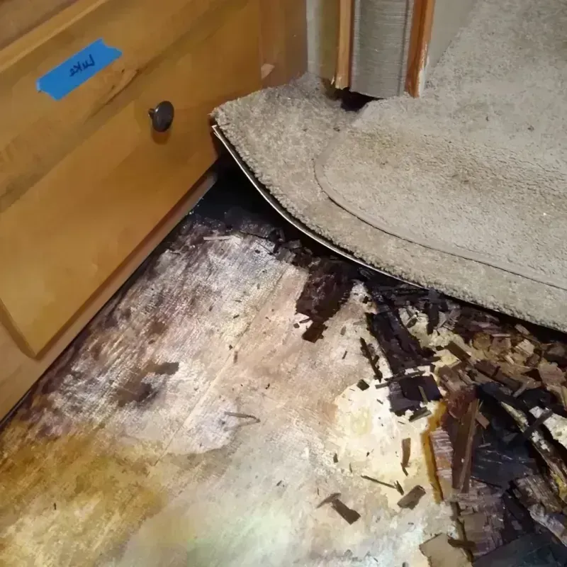 Wood Floor Water Damage in Polk County, NE